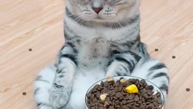 Who told you to call me fat