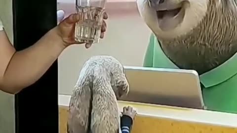 Funny moments 😂😅 #funny #crazy #comedy #trending #lol #viral