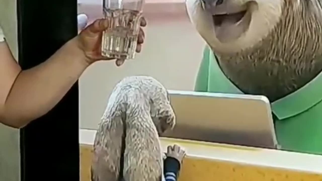 Funny moments 😂😅 #funny #crazy #comedy #trending #lol #viral