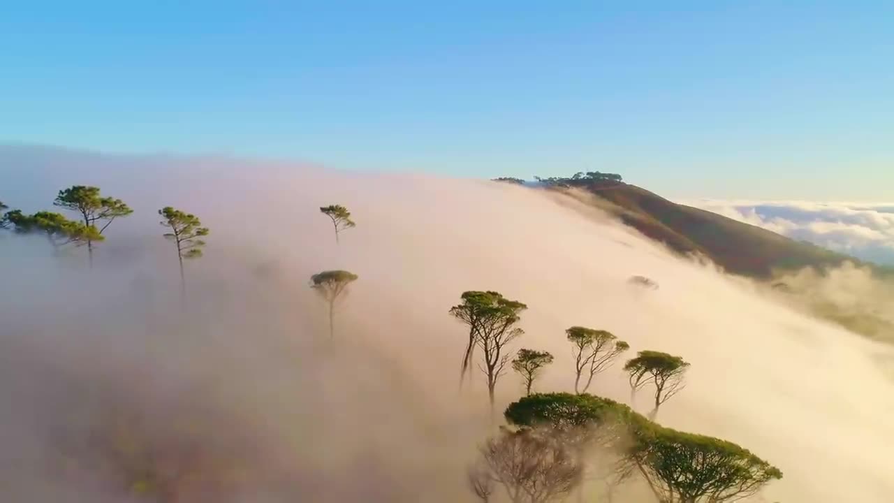 Africa 4K - Scenic Relaxation Film With Calming Music