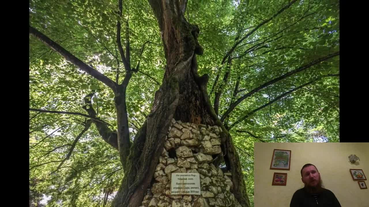 Гражданин России рассказывает о жизни русских в Абхазии и о трофейных грузинских домах