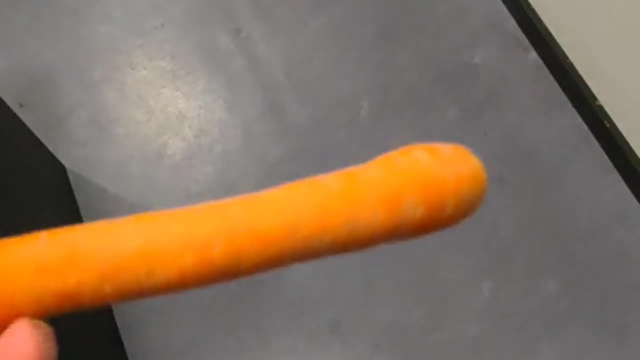 🥕 Wobbly Wonders | "The Tale of My Wobbly Carrot" - Vegetable Adventures | FunFM