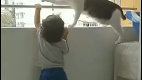 A cat takes care of a human child