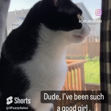 Dude, I'm a good girl