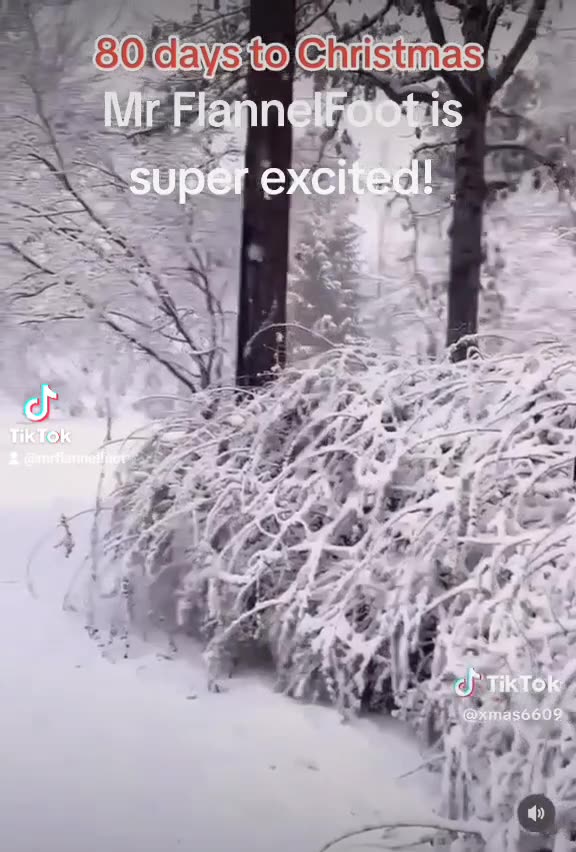 80 days to Christmas