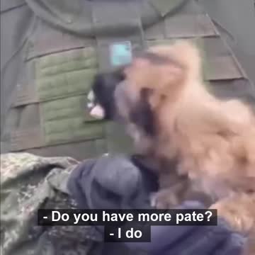 Russian army - they help Ukrainian peaceful citizens