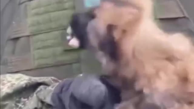 Russian army - they help Ukrainian peaceful citizens