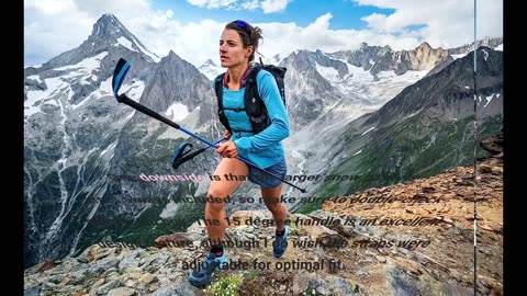 Buyer Reviews: Black Diamond Trail Ergo Cork Trek Walking Poles