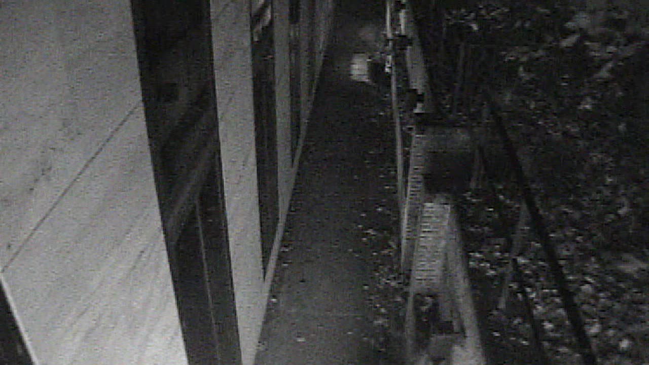 1457HSOB01GroundSoutheast_2021-01-06_01h41min52s687ms.mp4
