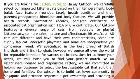 If you are looking for Cattery in Siglap