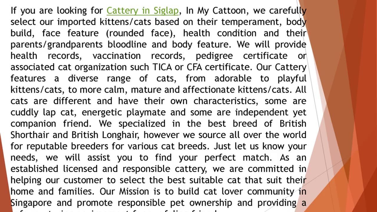 If you are looking for Cattery in Siglap