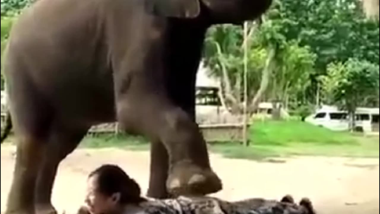 Elephant Massage Women