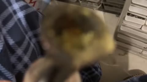 Day 27 pt4 The last bowl with this amazing song