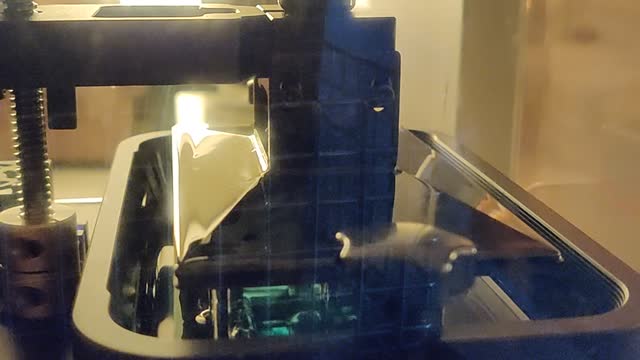 Timelapse of Resin 3D Printer