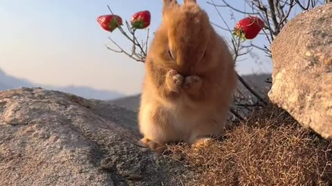 Enjoy The Nature