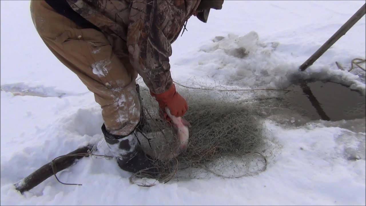 Checking the Under Ice Net with yukonjeff