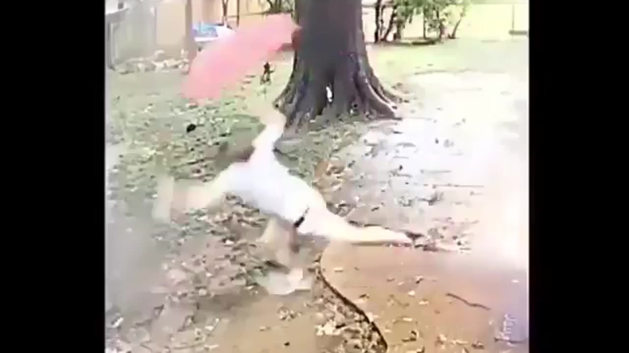 Do not Keep Babies Alone