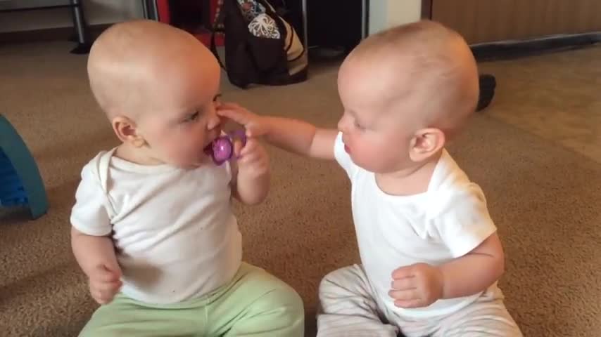 Twin baby girls fight over pacifier