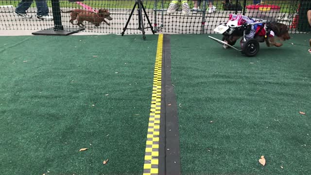 Fwdd main event may 7, 2022