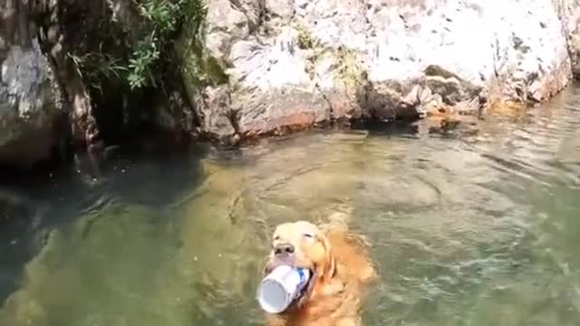 Watch to the end🧡