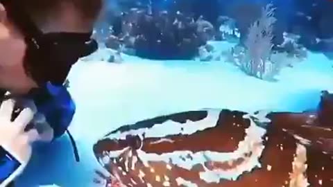 petting the fish