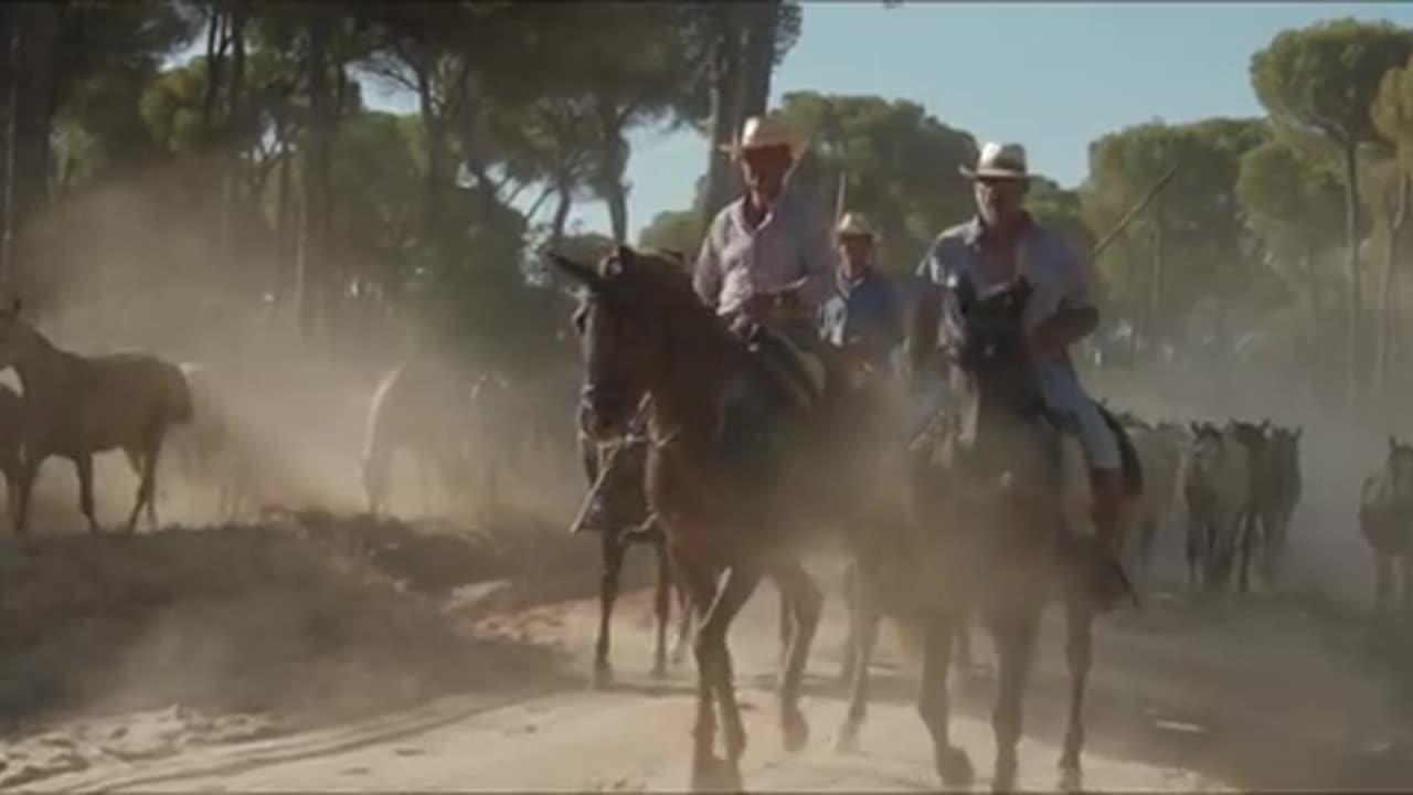 The Passion of Andalucía