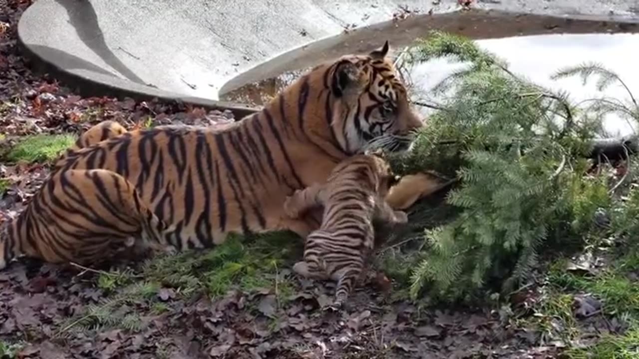 Bath time OUTSIDE!