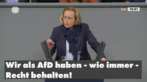 Beatrix von Storch (AfD) - Importierter Hass durch illegale Migration. Die AfD hatte gewarnt!