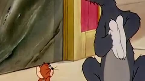 Tom And Jerry cartoon || funny cartoon for kids