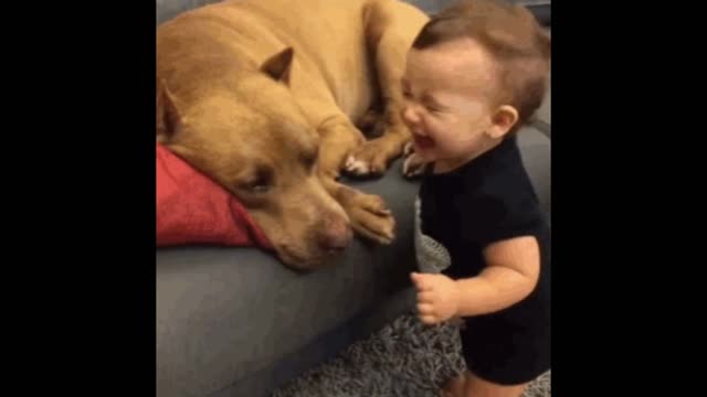 gif video boy kissing his dog