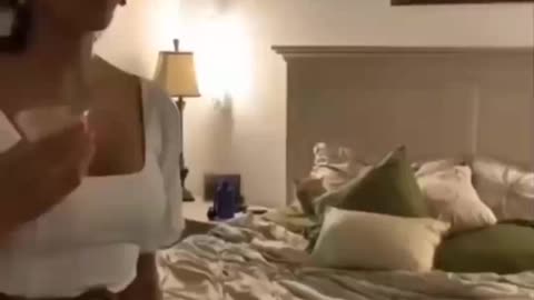 Funniest Cats-Don't try to hold back Laughter 🤣 -Funny Cats Life #1