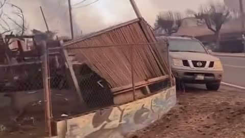 Looks like a bomb went off in Maui.