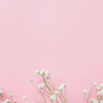 « Jacob sert sept ans pour Rachel » GENÈSE 29-20.