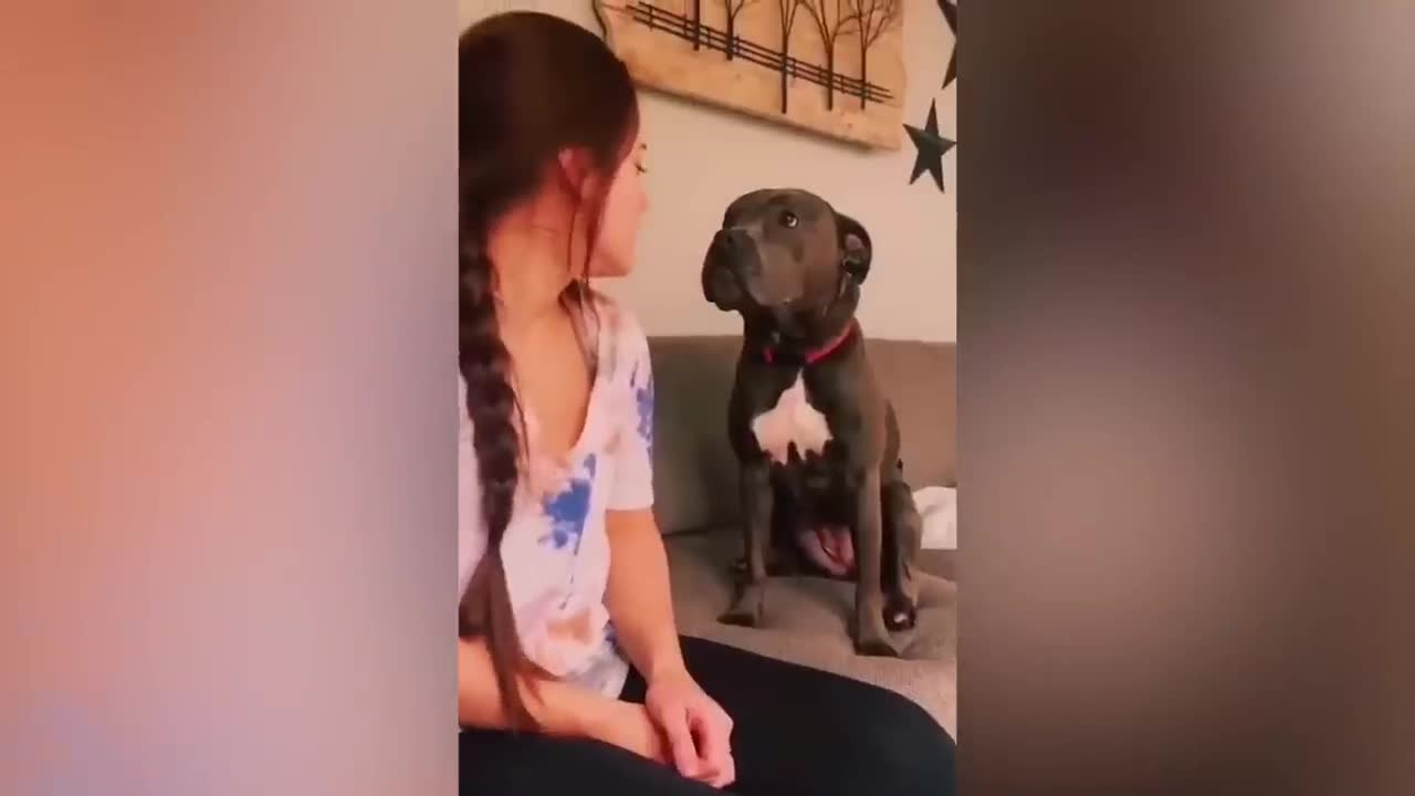 Most Adorable Animals Compilation Ever - Funny Pets Video