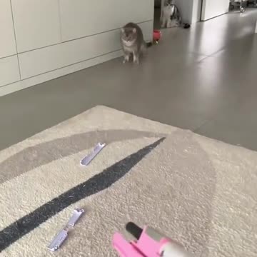 The harm is not big.