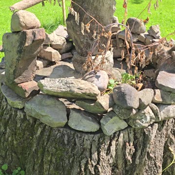 Random Rock Art In The Park