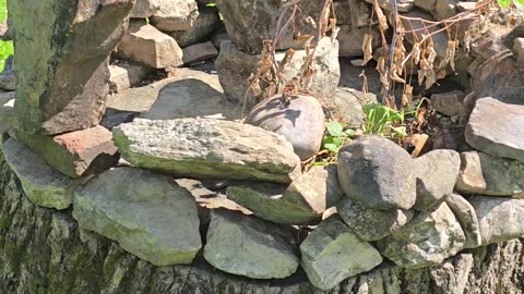 Random Rock Art In The Park