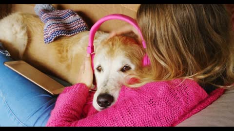 Woman mounting headphone on dogs ear on sofa