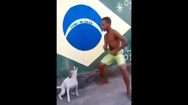 Perro bailarín con mucho flow