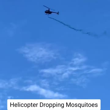 Why Are They Releasing Mosquitoes?