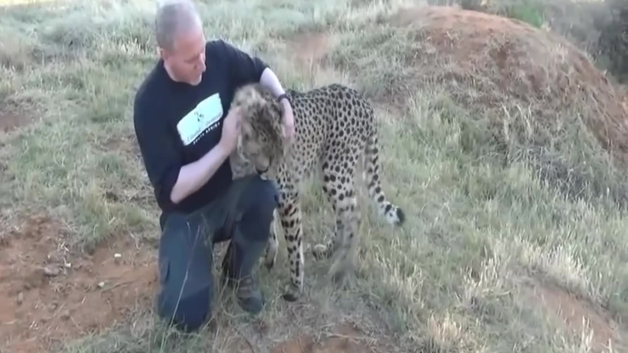 animals show love his owner 😍