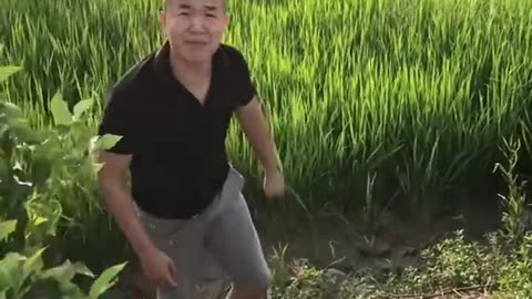 Best Funny Videos Ever