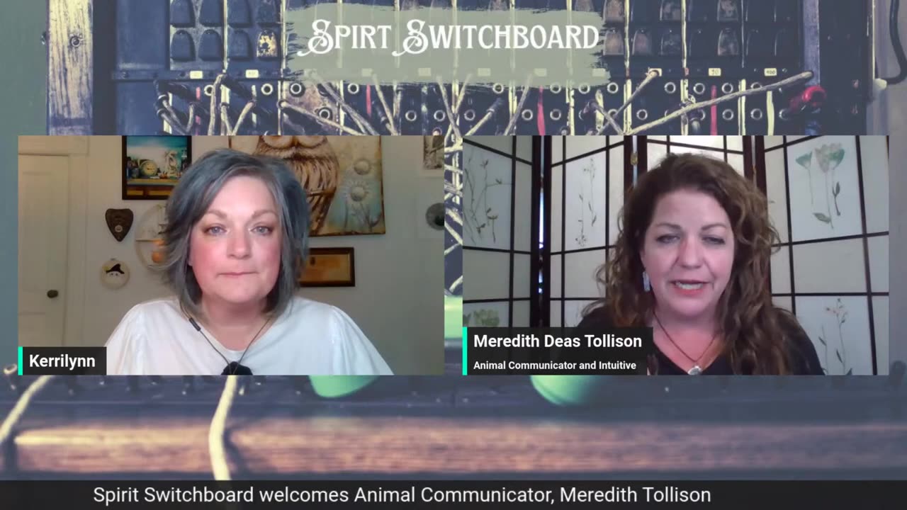 Spirit Switchboard welcomes Animal Communicator Meredith Tollison-04-28-23.mp4