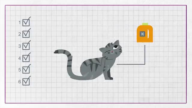Why does my cat have a dull coat or dandruff_ - Whiskas K.I.T._2