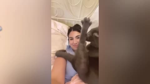 The best funny animal videos of 2023 🤣The funniest cat and dog videos😂😍