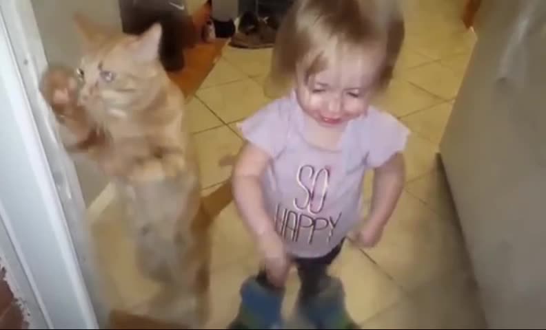 Cat and the little baby