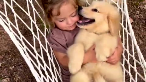 Puppy in a Hammock!