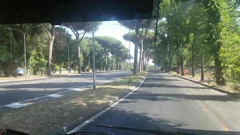 Roma city of pine trees