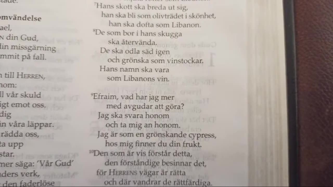 Läser i Hosea 14 ur Bibeln. Örebro 14 Nov. 2021