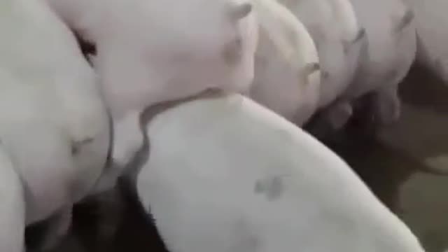 Kicked out